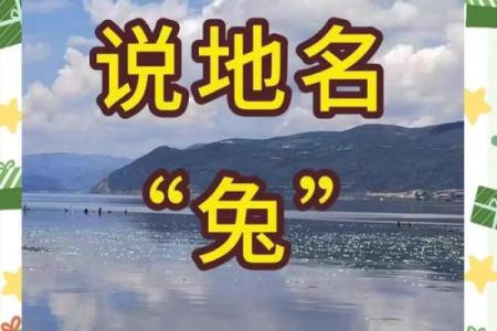 一事无成打一个生肖的谜底是什么？着个生肖的性格特点解析