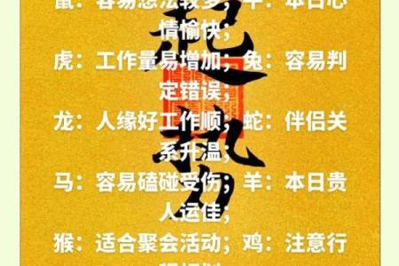 2024年12生肖49码图 2024十二生肖149表