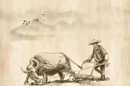 三思而行打一生肖