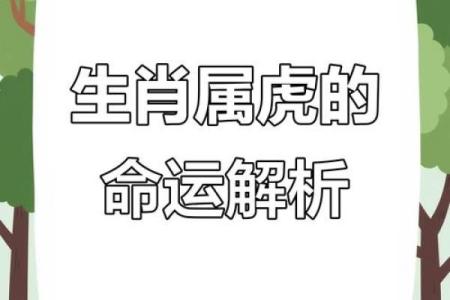 ‌身体健康打一个生肖 → 虎（虎骨雄健，体魄如山）‌