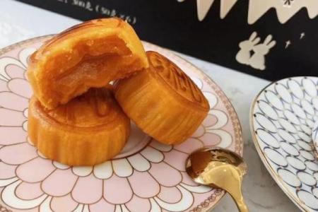 ‌皇宫后院打一生肖：‌ 兔