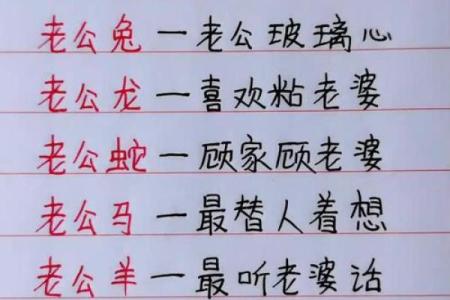 一心一意美男子指的是哪个生肖？揭秘十二生肖中的专一代表