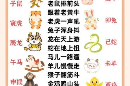老老实实打一正确生肖 老老实实打一最佳生肖动物