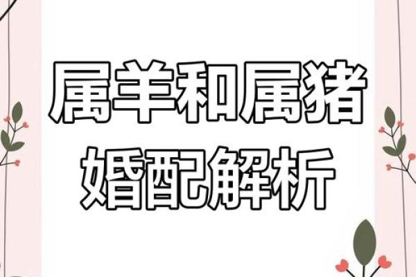 男羊女鸡的属相合不合 男羊女鸡属相合不合的生肖