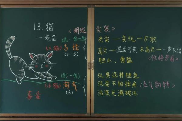 ‌见异思迁打一生肖 → 猫‌（猫逐新蝶，心随境迁）