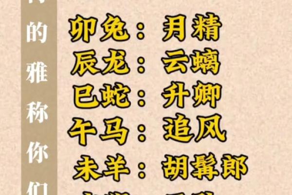 三大肖 三大肖是指哪个生肖