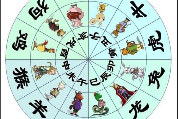 十二生肖中擦亮眼睛代表什么含义，具体是指哪一个属相？