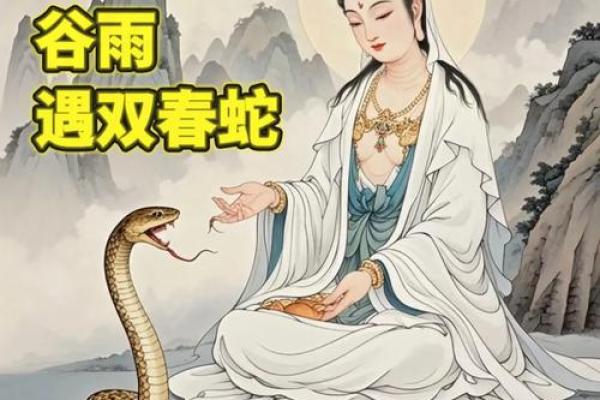 ‌雨后春笋打一生肖 → 蛇‌（蛇出春雨，笋破土疾）