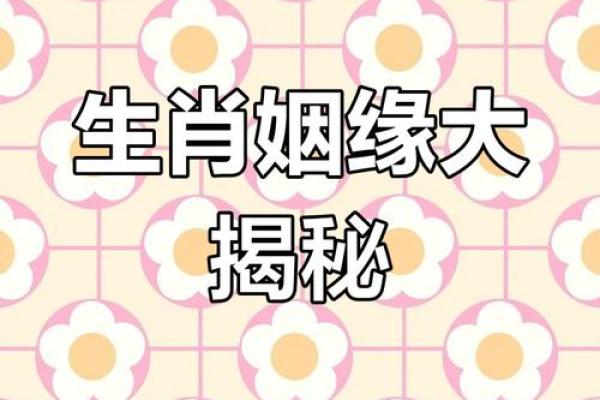 梅岭寒泉最佳生肖配对解析，看看你的属相是否上榜