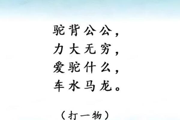 民间谜语引狗入寨”所指生肖的文化渊源和实际应用场景全解