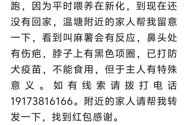 民间谜语引狗入寨”所指生肖的文化渊源和实际应用场景全解
