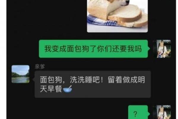 ‌肉包打狗正确生肖 → 狗（肉包投犬，有去无回）‌