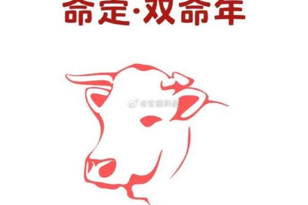 鸿运当头的最佳生肖排名完整版看看你属相排第几