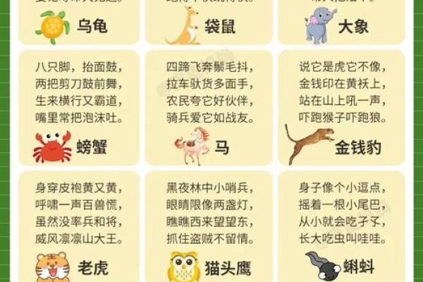 过耳秋风指的是什么生肖？谜语解析与正确答案大揭秘