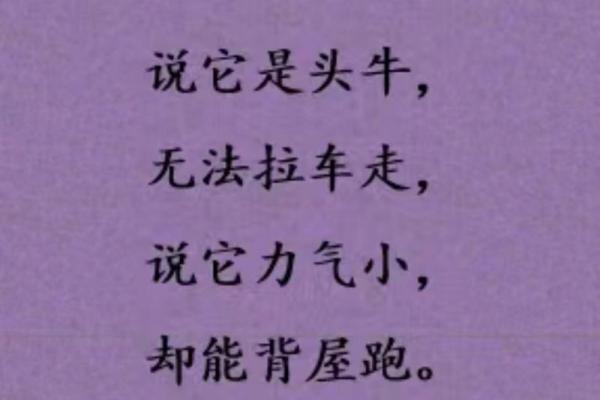 过耳秋风指的是什么生肖？谜语解析与正确答案大揭秘