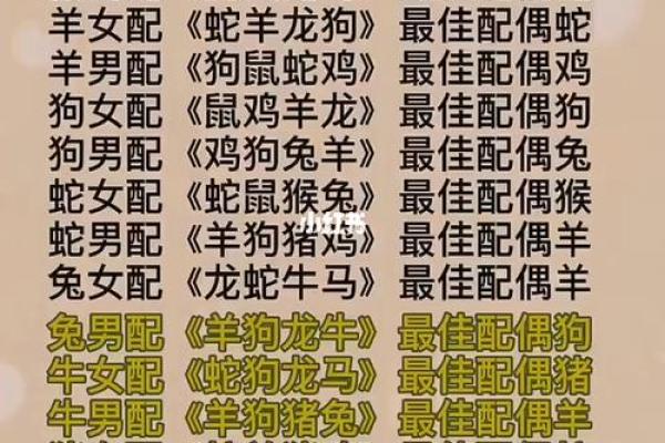 2000年属什么生肖的最佳配偶 2000年出生配什么生肖
