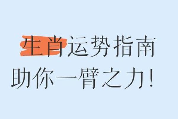 午后时光打一生肖谜语答案揭晓，看看你猜对了没有
