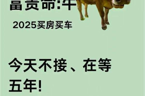 想了解一干二净”所代表的生肖，有没有详细的解析和由来？