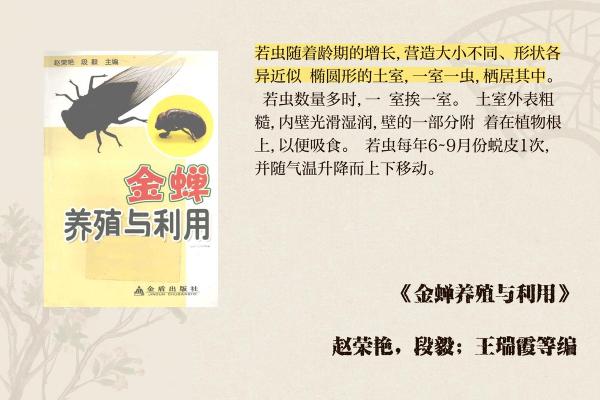 金蝉脱壳打一最佳动物 金蝉脱壳一打一准确生肖