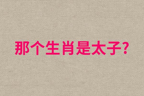 当面出丑是什么生肖(当面出丑是什么生肖是不是牛)