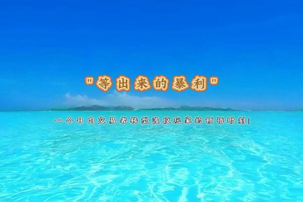 ‌鸳鸯戏水打一生肖‌：鸡（鸳鸯似鸡，水上成双）