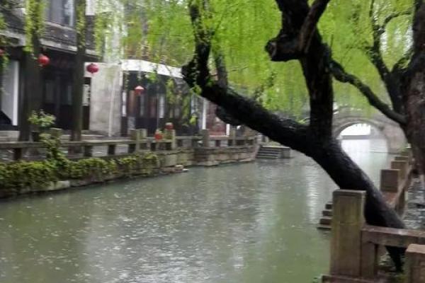 小桥流水是什么生肖(小桥流水是什么生肖动物)