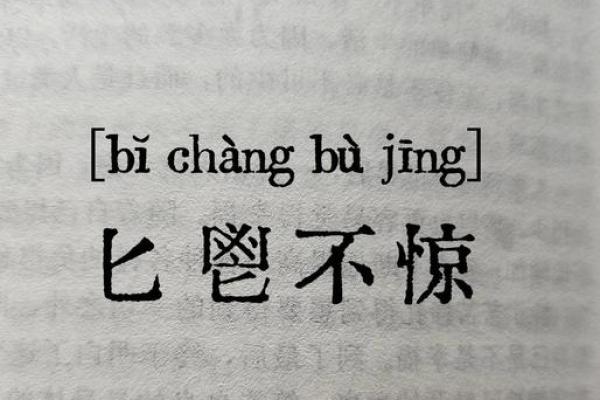 匕鬯不惊指什么动物生肖(匕鬯不惊的意思)