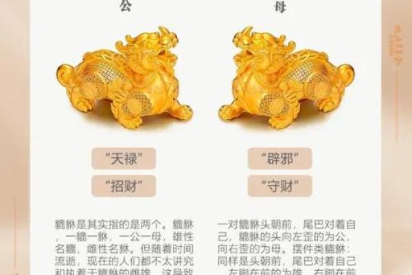 貔貅属什么 貔貅属什么五行