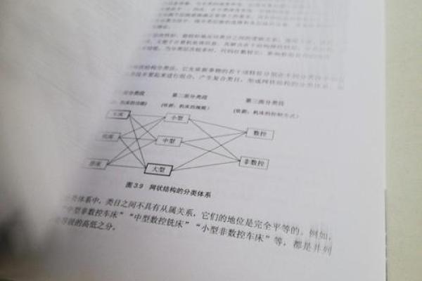 南拳北腿所指生肖的文化解析，历史渊源与象征意义探讨