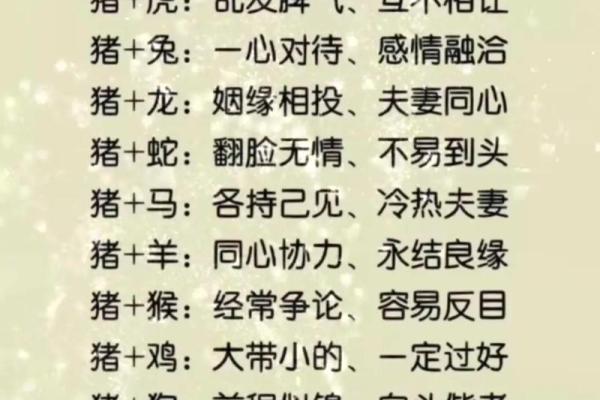 各不相下打一生肖