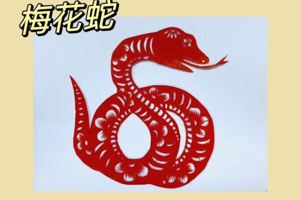 梅花的三大生肖 梅花有哪些生肖