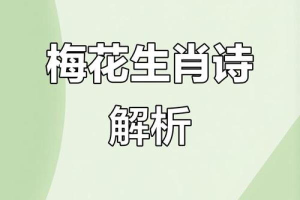 梅花的三大生肖 梅花有哪些生肖
