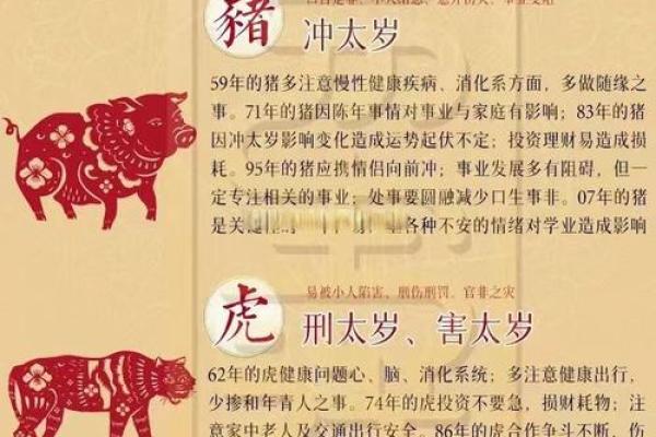 中国传统文化中丹顶曲项”代表什么生肖？详细解读其象征意义