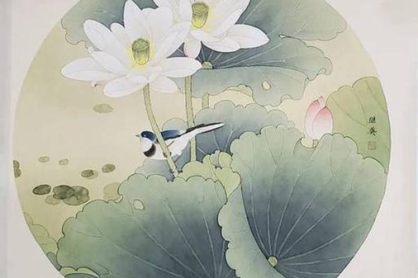 荷花适合挂在家里什么地方 荷花挂家里什么位置好