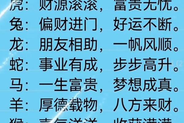 2022是什么年生肖(2022是什么生肖属性)