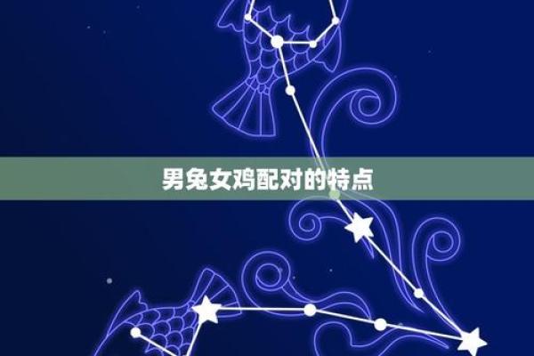 男鸡和女兔属相合不合婚姻 男鸡和女兔婚姻相配吗