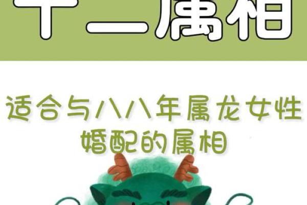 龙和蛇的婚配属相好吗 龙和狗属相能配夫妻吗
