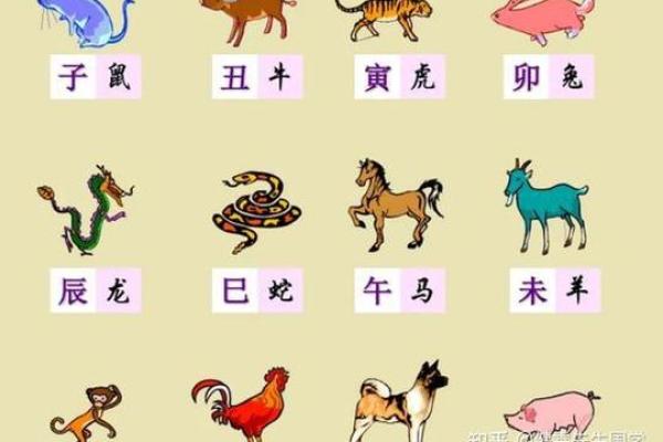 龙和蛇的婚配属相好吗 龙和狗属相能配夫妻吗