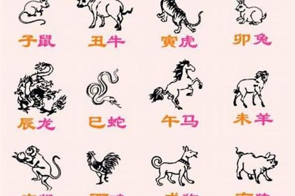 恶贯满盈是什么生肖 恶贯满盈是什么生肖