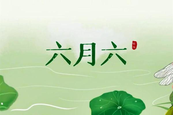 六月六是什么节日有什么风俗(六月六是什么节日有什么风俗呢)