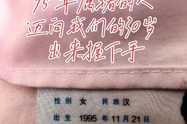 1995属猪大忌颜色 95年属猪忌什么