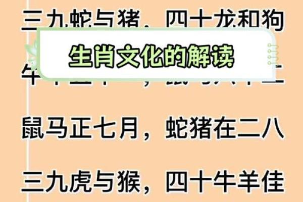 短小精干的动物代表是十二生肖中的哪一个？