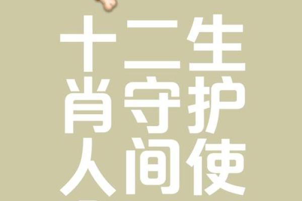 ‌义无反顾打一生肖 → 狗（狗忠护主，义无反顾）‌