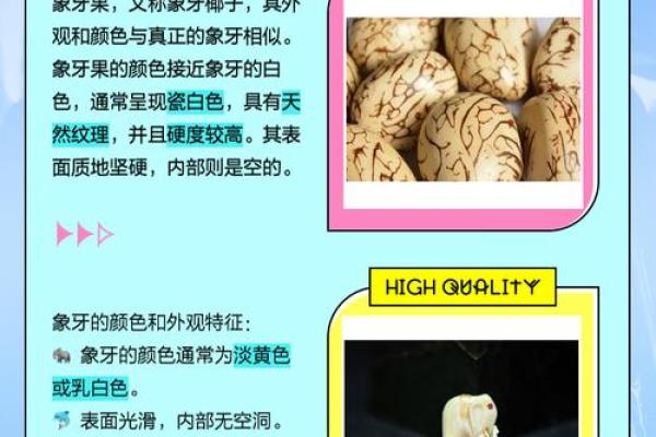 象牙果什么属相不能戴 象牙果寓意