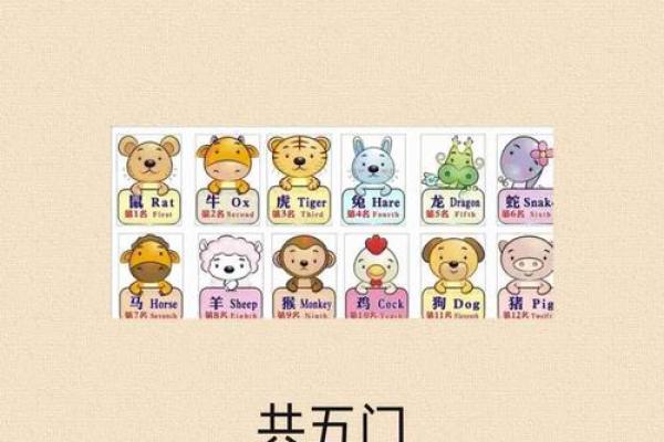成语目迷五色真正对应的生肖动物解析，具体指的是哪一个？