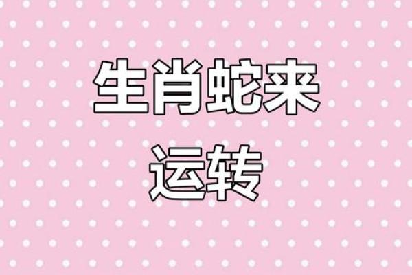转面无情打一最佳生肖→ ‌蛇‌（蛇蜕皮后弃旧躯，冷酷无情）