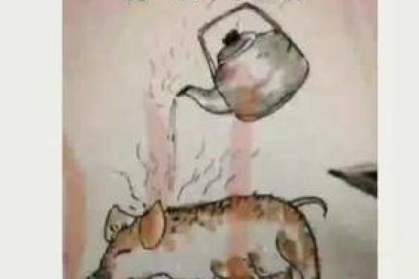 死猪不怕开水烫是什么生肖