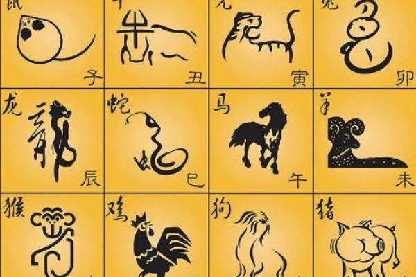 在十二生肖当中哪一个动物最能体现无所不包的含义和象征？