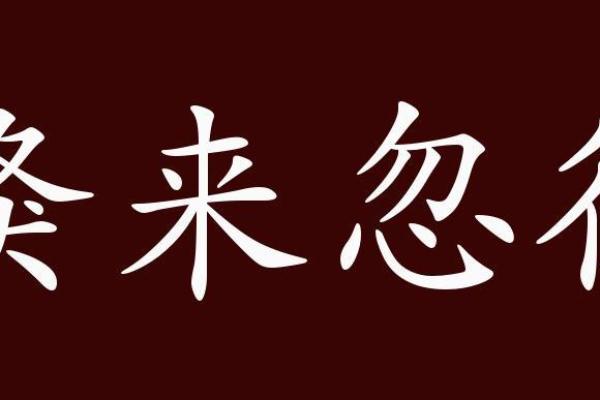 十二生肖中哪个动物行为倏来忽往？准确谜底揭晓