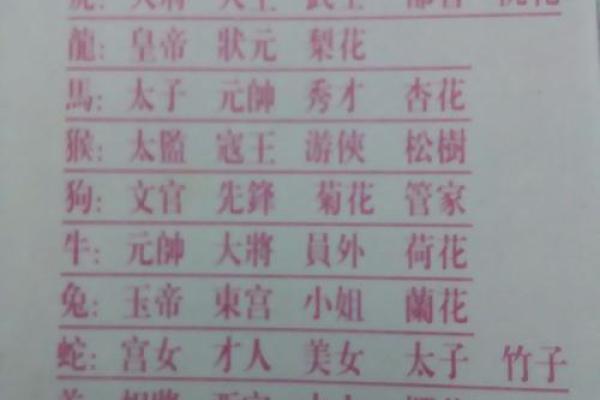 前世美人是什么生肖(前世美人是什么意思)